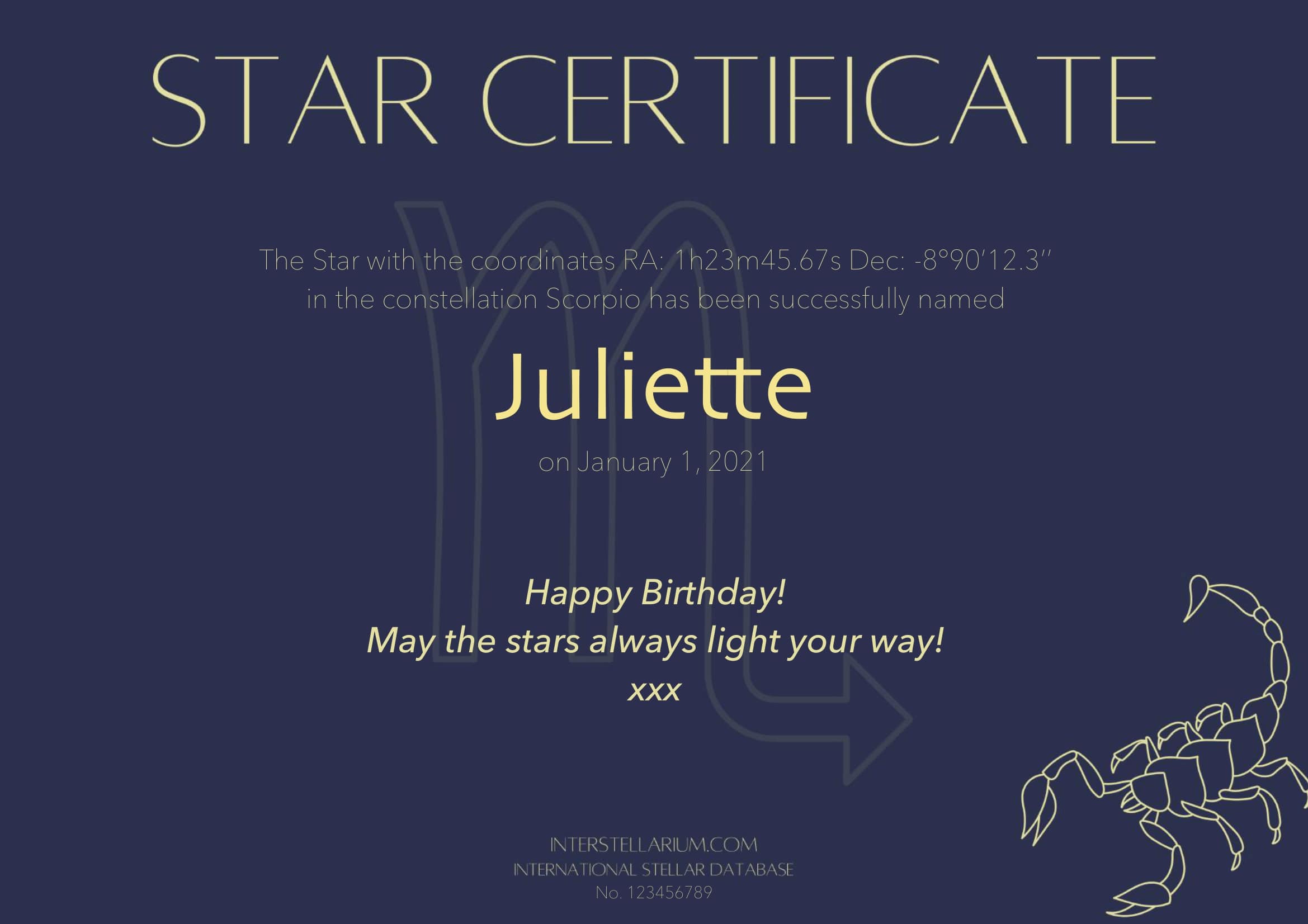 Star in a constellation - Image 23